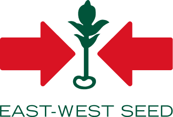 EWS