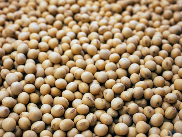 Agro-Gem (Fish Amino Acid)